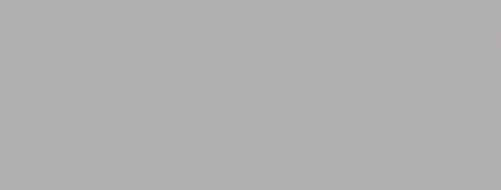Silver Gray